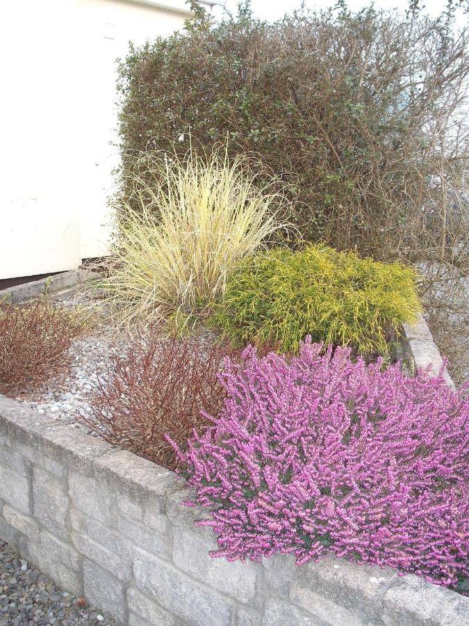 Фото  Maryville Bed and Breakfast Нина 39